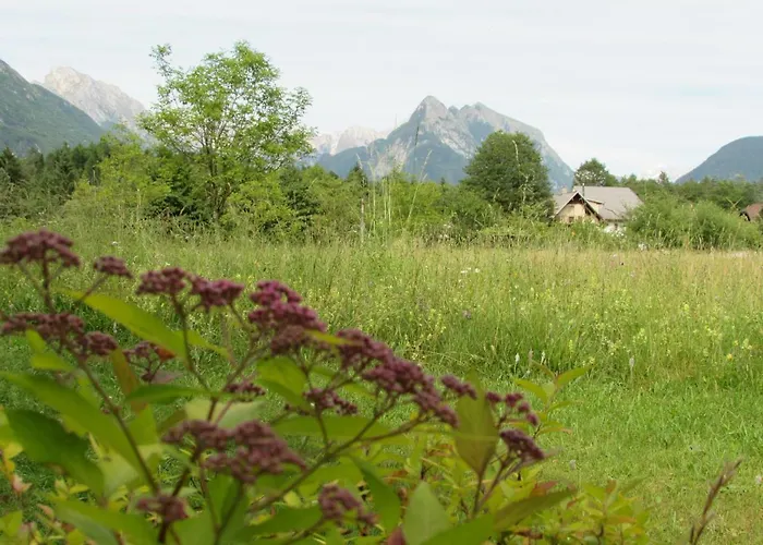 شقة Apartma Narnia بوويتش